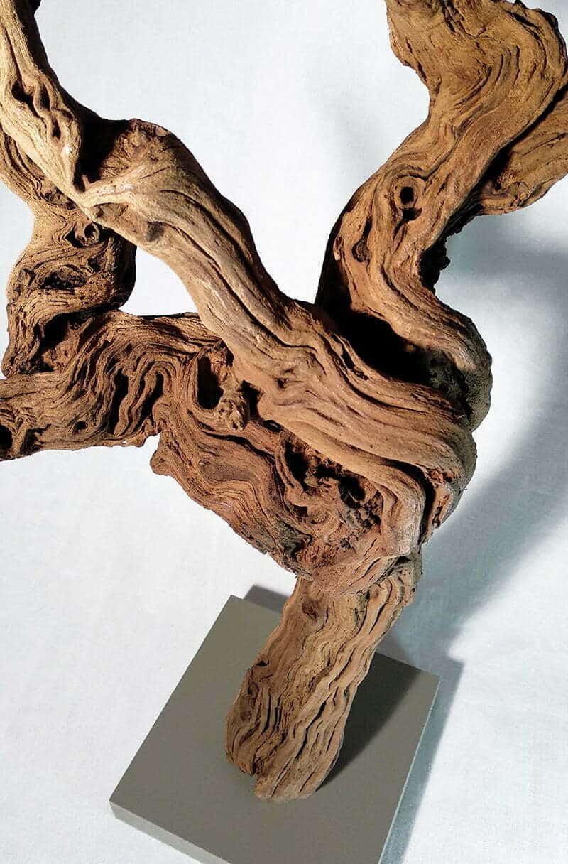 Décoration de porte avec un cep de vigne