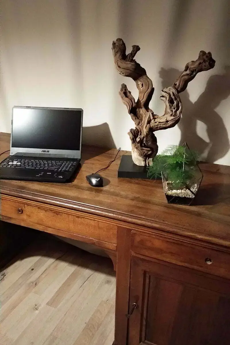 cep-vigne-deco-66