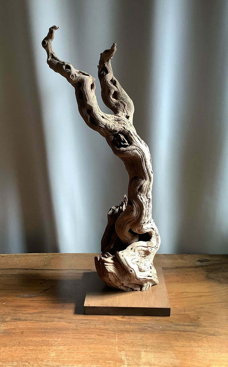 Grand cep de vigne deco en bois naturel sablé - hauteur 70 cm