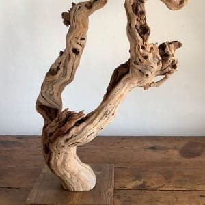 Pied de vigne deco 16