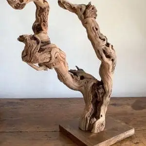Pied de vigne deco 17