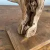 Pied de vigne deco 17 bis