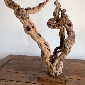 Pied de vigne deco 22