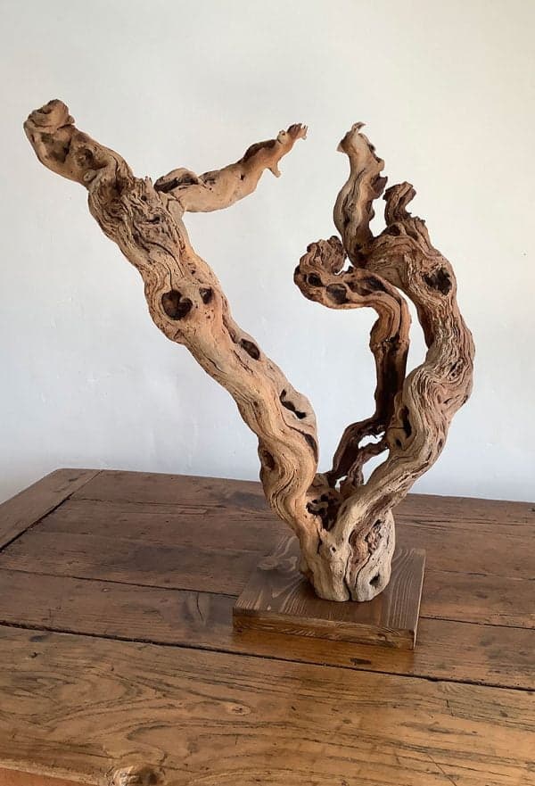 Pied de vigne deco 22