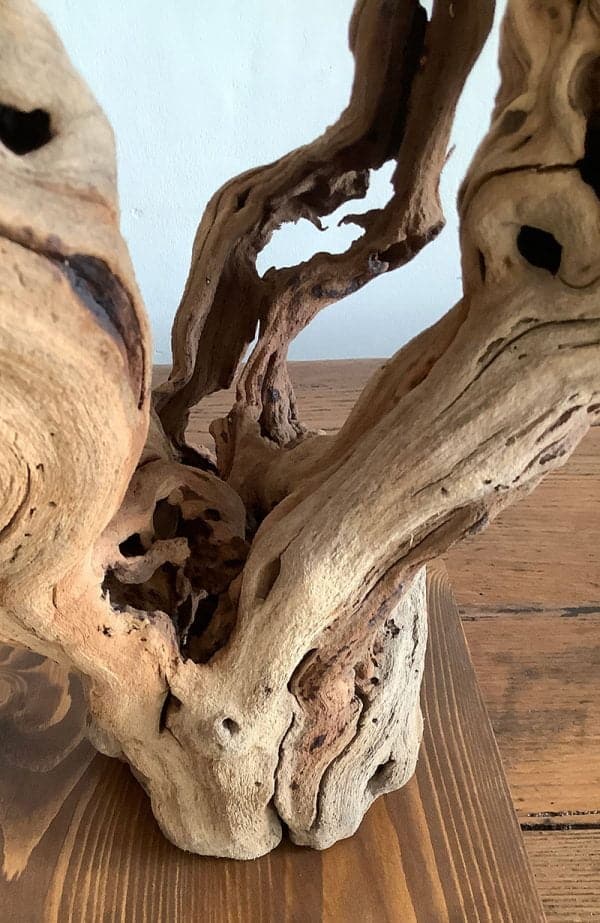 Pied de vigne deco 23