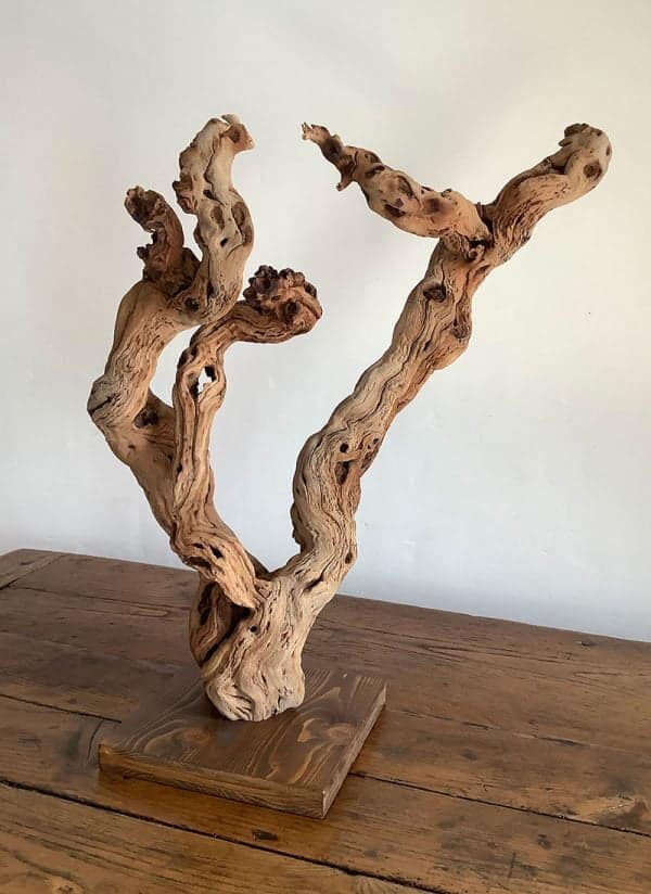Pied de vigne deco 24