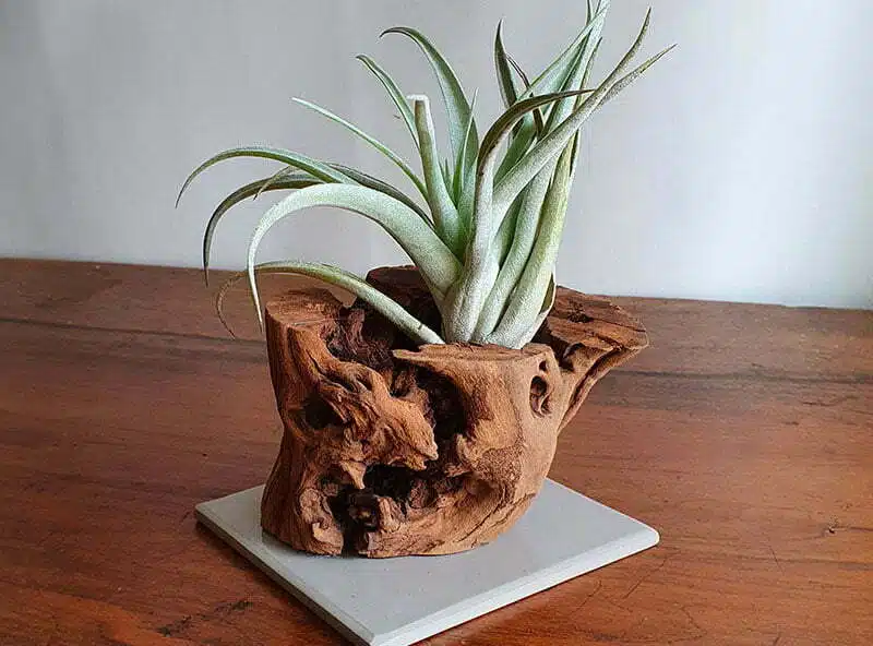 decoration-bois-artistique