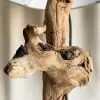 Lampe en pied de vigne photo 10