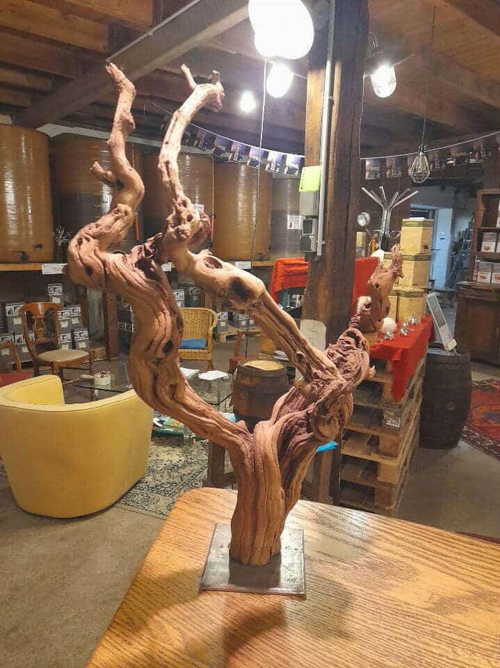 cep-vigne-cave-vin