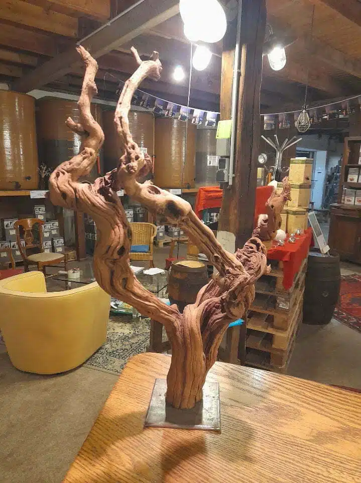 cep-vigne-cave-vin