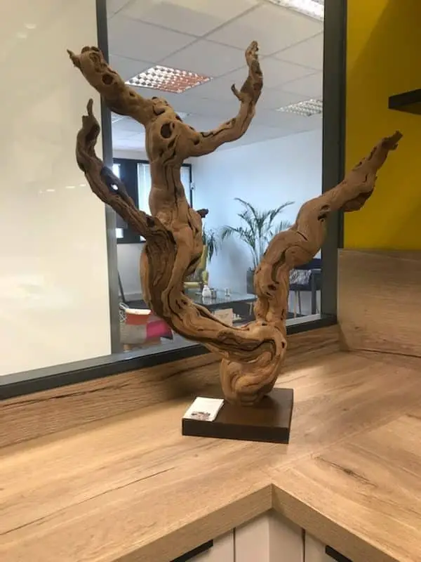 deco-bureau-pied-vigne