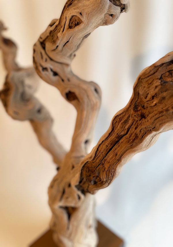 deco vine stock 4