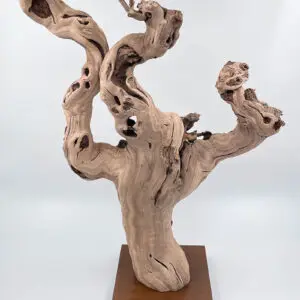 Cep de vigne déco 1