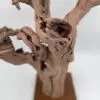 Cep de vigne déco 11