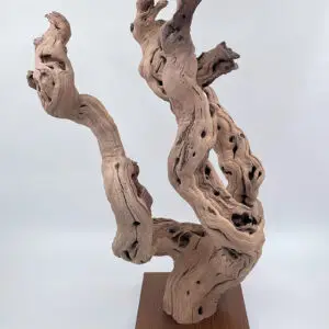 Cep de vigne déco 14