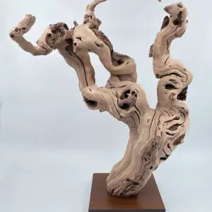 Cep de vigne déco 17