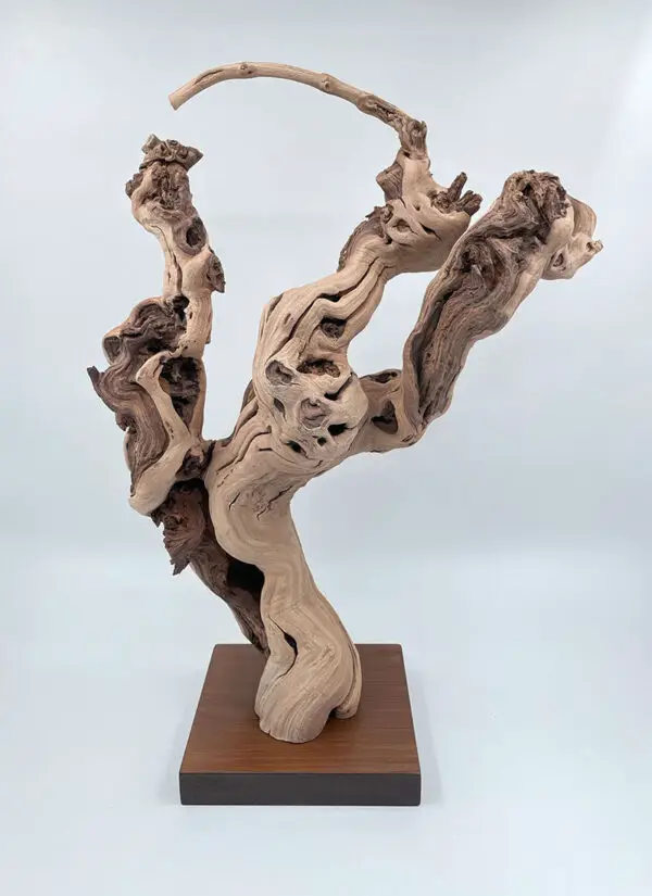 Cep de vigne déco 19