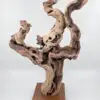 Cep de vigne déco 2
