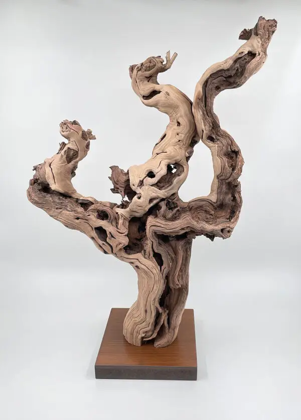 Cep de vigne déco 2