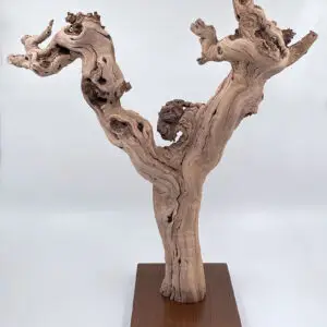 Cep de vigne déco 4
