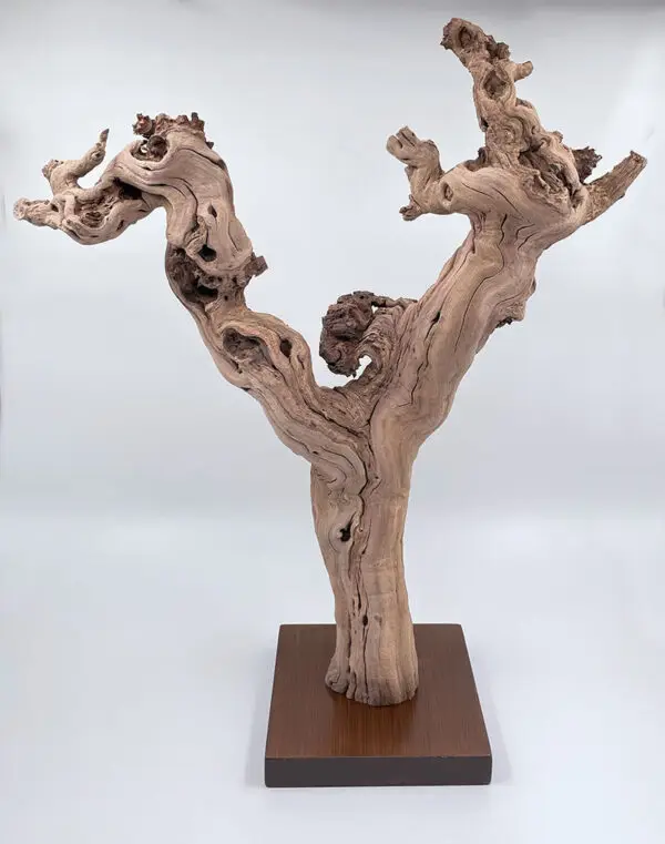Cep de vigne déco 4