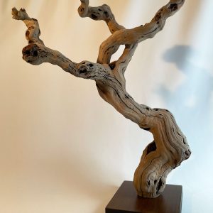 Cep de vigne décoratif 40