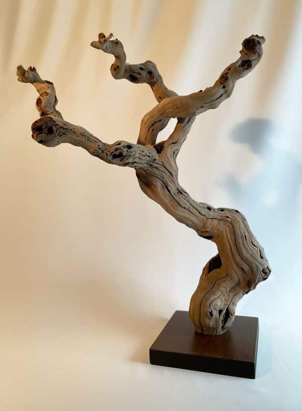 Cep de vigne décoratif 40