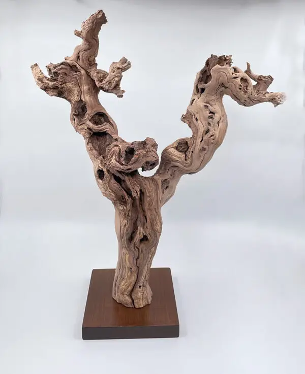 Cep de vigne déco 5