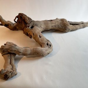Lying vine stock