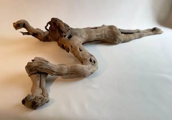 Lying vine stock