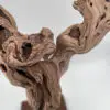 Cep de vigne déco 6