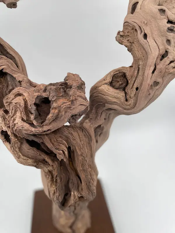 Cep de vigne déco 6