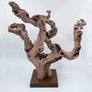 Cep de vigne déco 7
