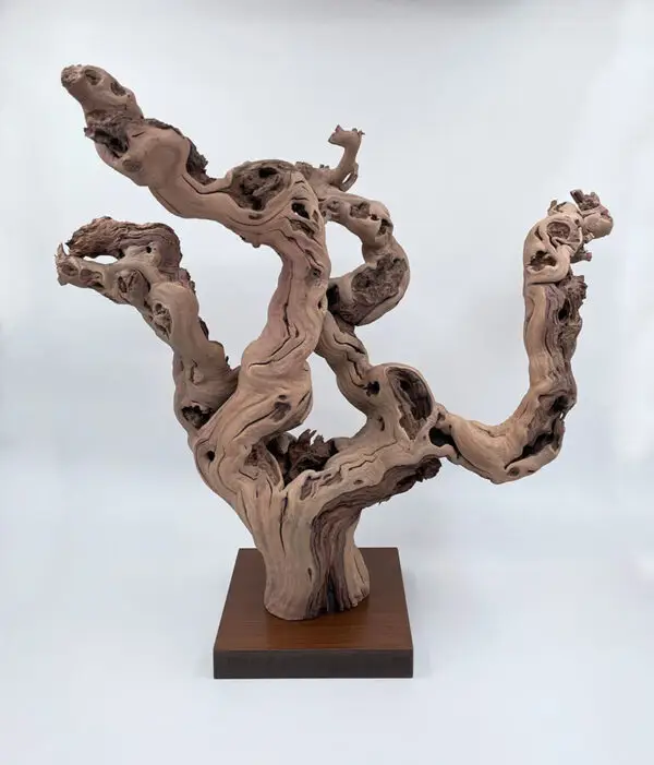 Cep de vigne déco 7