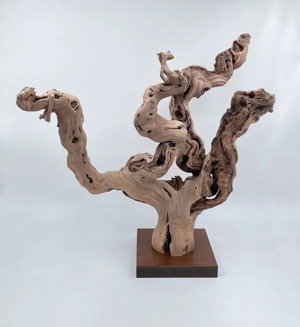 Cep de vigne déco 9