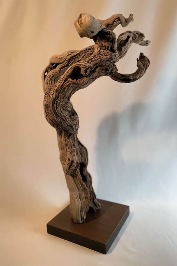 Pied de vigne 20