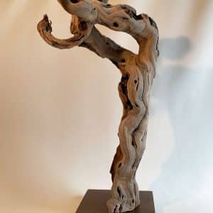 Pied de vigne 21