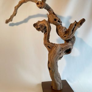 Pied de vigne 27