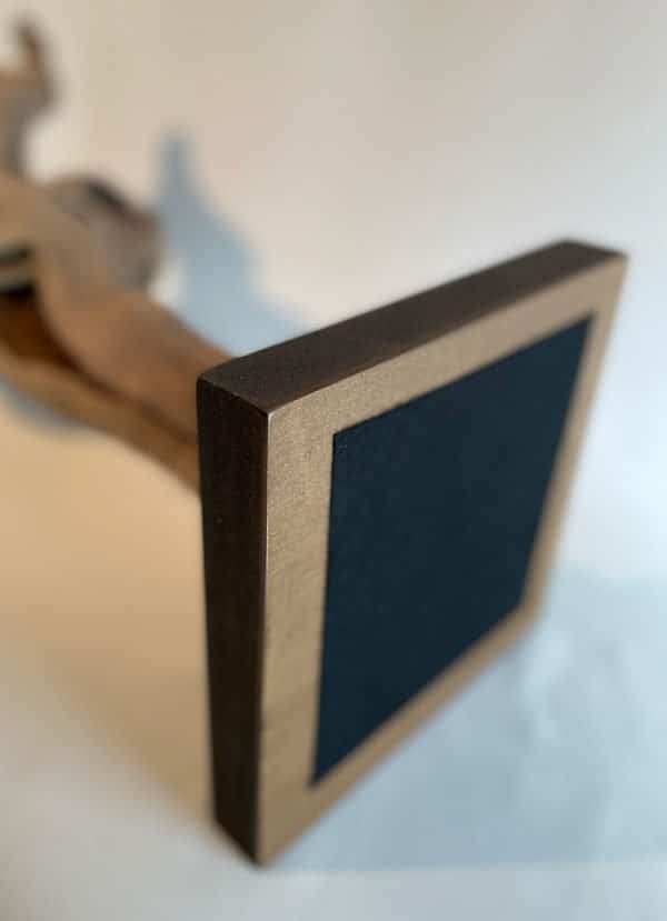 Pied de vigne 30