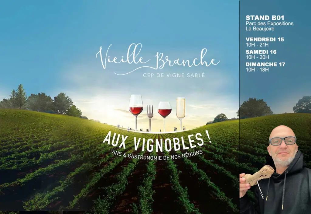 salon vin nantes