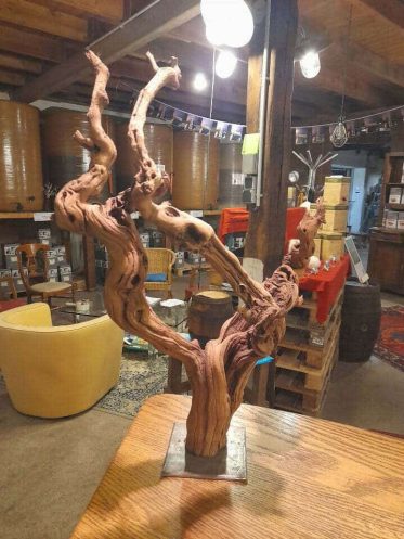 Cep de vigne cave à vin